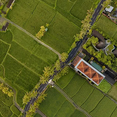 Paon Desa Ubud