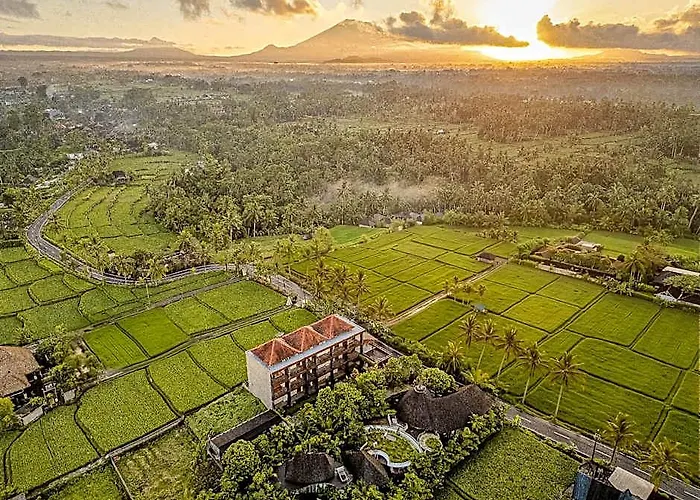 Paon Desa 4* Ubud