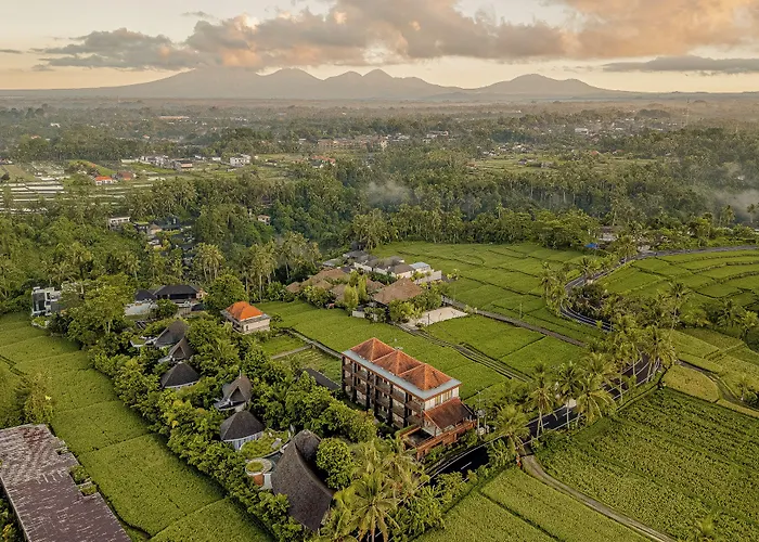 Paon Desa Otel Ubud